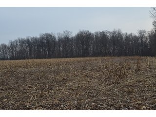 Property photo 32 - LAND AUCTION, 77 Acres offered in 3 Tracts